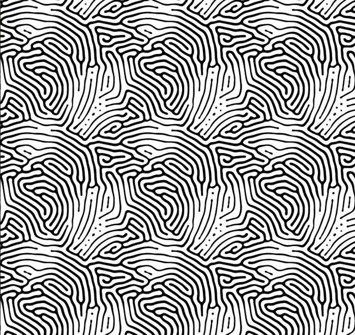 Curves that look like fingerprints. devonstone selfies.. white on white fabric.. images are black on white for display purposes only. great to use as a white fabric with a subtle pattern or to dye and paint.. available at 2 Sew Textiles art qulilt supplies