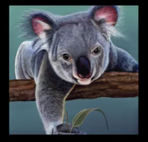 Chris Riley Australian Animal art fabric panel - Pelican Koala Cockatoo - quilting & craft cotton - great for placemats, quilts, table runners - great gift