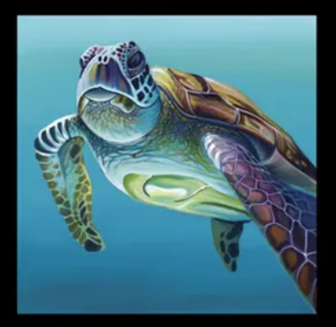 turtle Chris Riley Australian Ocean Animal art fabric panel - Whale Dolphin Turtle available at 2 sew textiles art quilt supplies