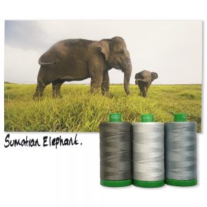 Aurifil ENDANGERED SPECIES Color Builder Thread Club