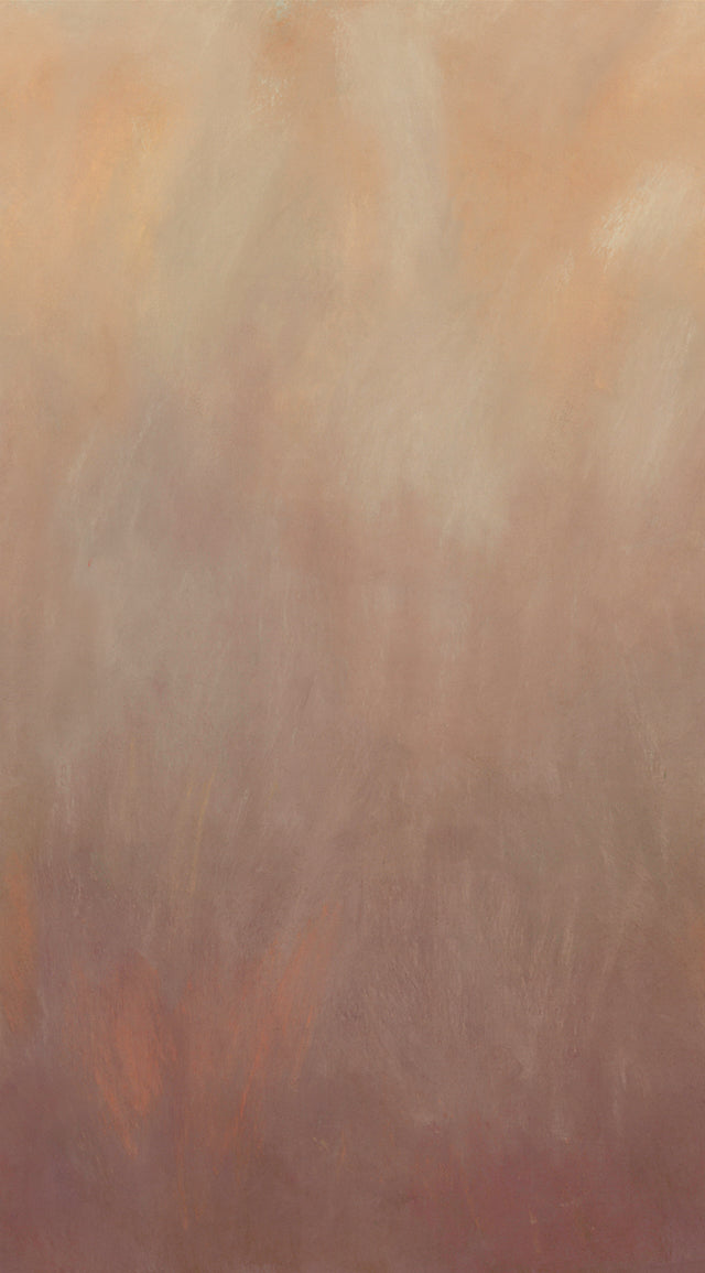 Abstract art with soft, blended colors in brown and beige tones. jennifer sampou sky fabrics
