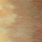 Abstract painting with soft, blended colors in brown, orange, and beige.