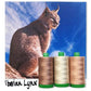 Aurifil Thread Sets - Endangered Animals - Last individual boxes