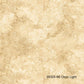 Brown Cream marble - Stonehenge Gradations by Linda Ludovico for Northcott available at 2 Sew Textiles Art Quilt Supplies
