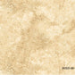 Brown Cream marble - Stonehenge Gradations by Linda Ludovico for Northcott available at 2 Sew Textiles Art Quilt Supplies