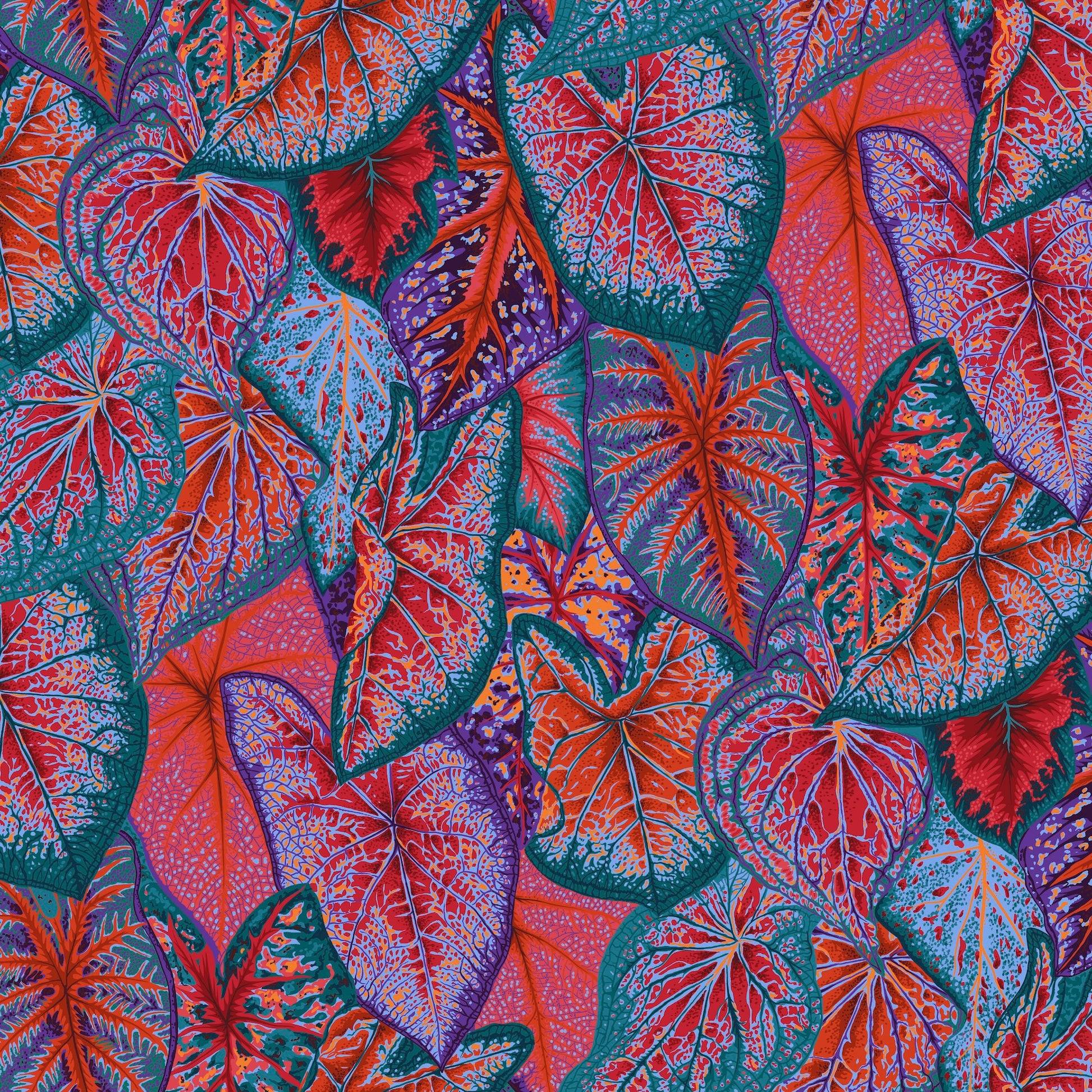 Bright by kaffe Fassett collective fat quarter fq fabric layout orange pink and more available at 2 sew textiles art quilt supplie