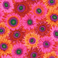 Bright by kaffe Fassett collective fat quarter fq fabric layout orange pink and more available at 2 sew textiles art quilt supplie