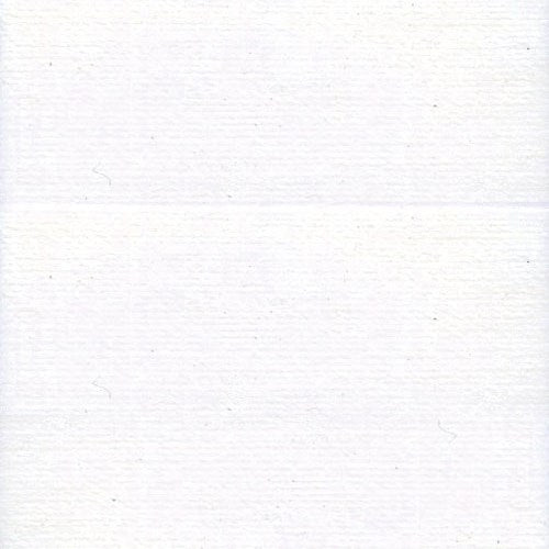 x2002 solid white color swatch