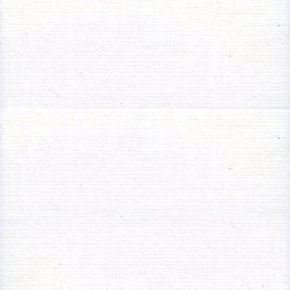 x2002 solid white color swatch