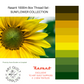 sunflower collection palette SET OF 8 or 10 Rasant sewing threads curated from beautiful photos creating the perfect collection available at 2 sew textiles art qult supplies