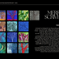 ARTIST BOOK - Rainbow Stash Buster Project 2024 - Physical + digital version