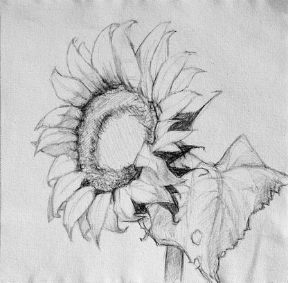 sunflower drawing - Fabric art set as seen at craftalive from 2 sew textiles art quilt supplies