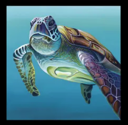 turtle Chris Riley Australian Ocean Animal art fabric panel - Whale Dolphin Turtle available at 2 sew textiles art quilt supplies
