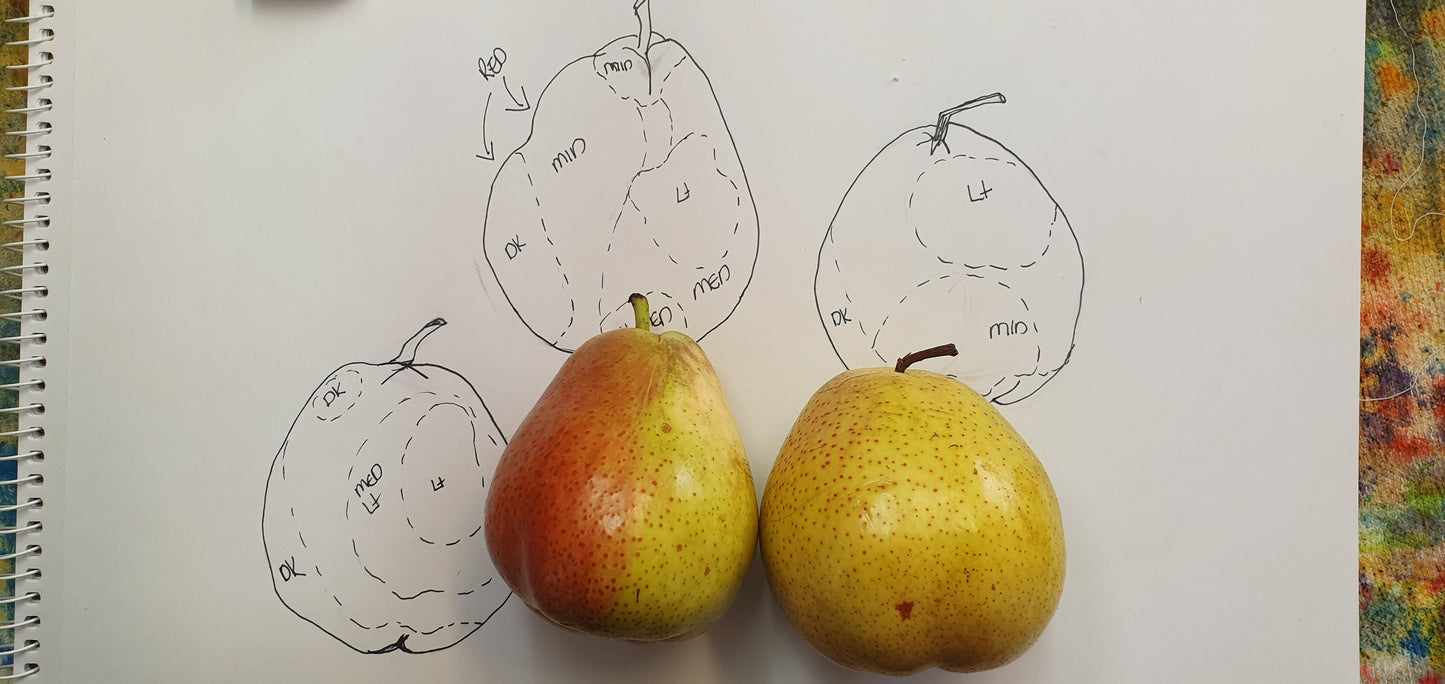 Atelier en boîte - Inky Pears