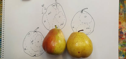 Workshop in a Box - Inky Pears