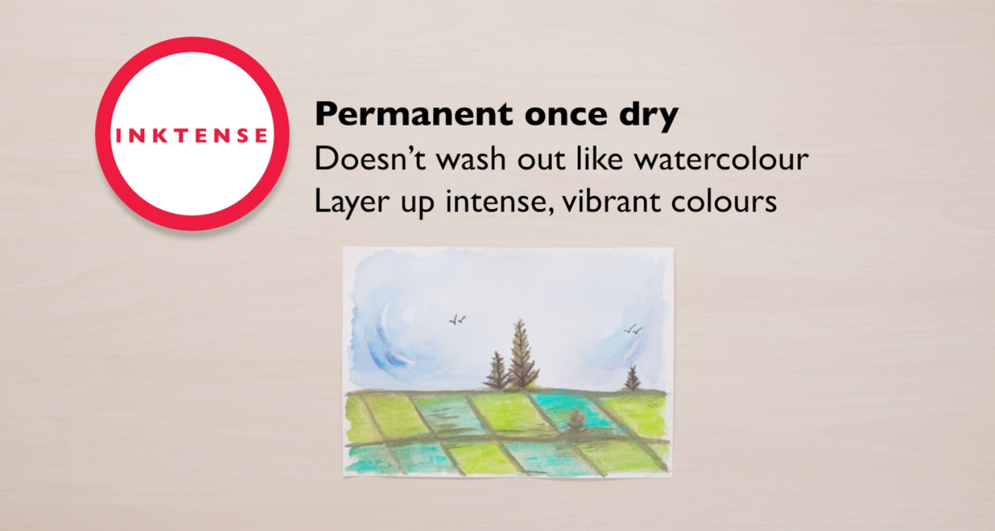 Derwent Inktense Lot de 12 crayons solubles dans l'eau