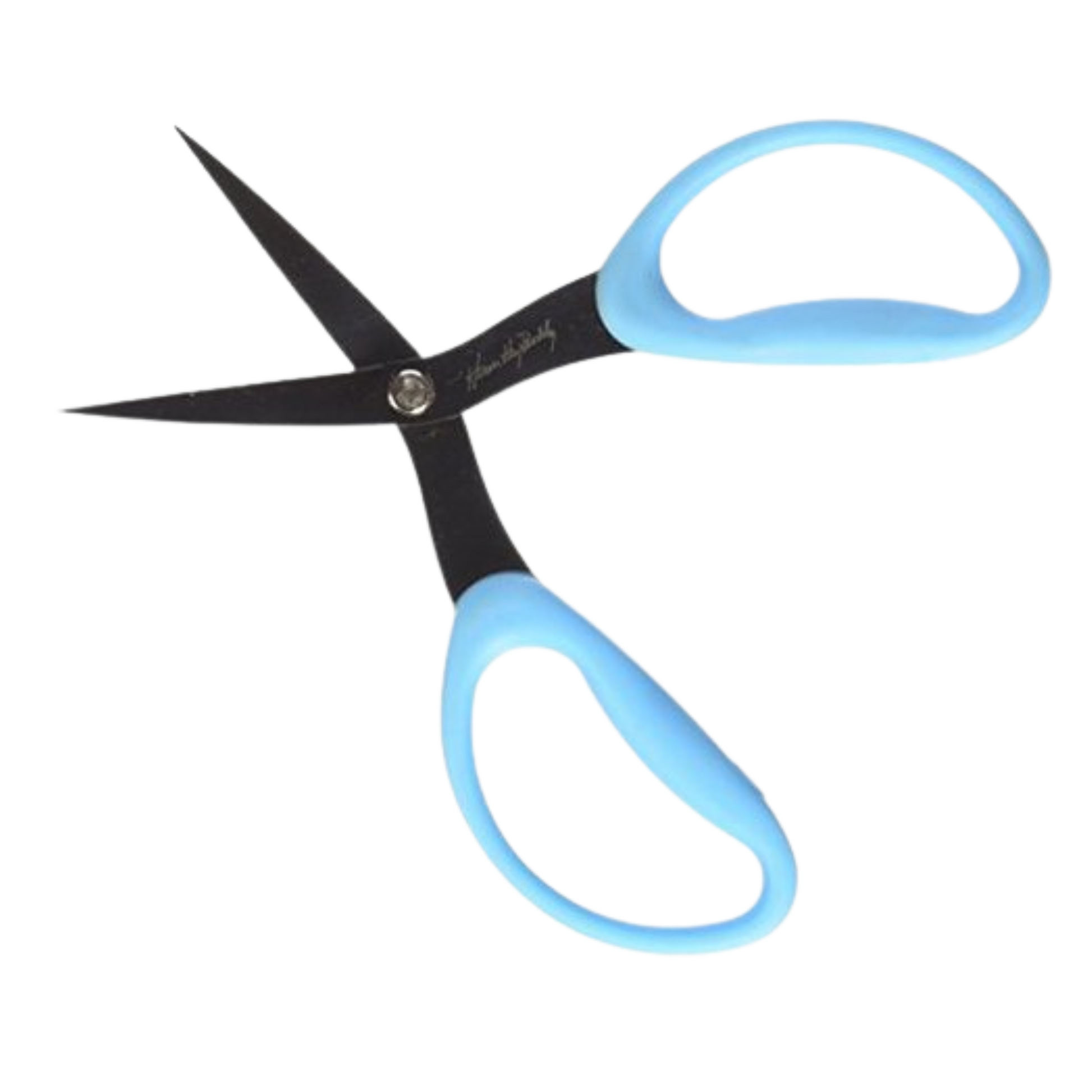 Karen Kay Buckley Scissors 6 1/2 Perfect Scissors Medium - Blue