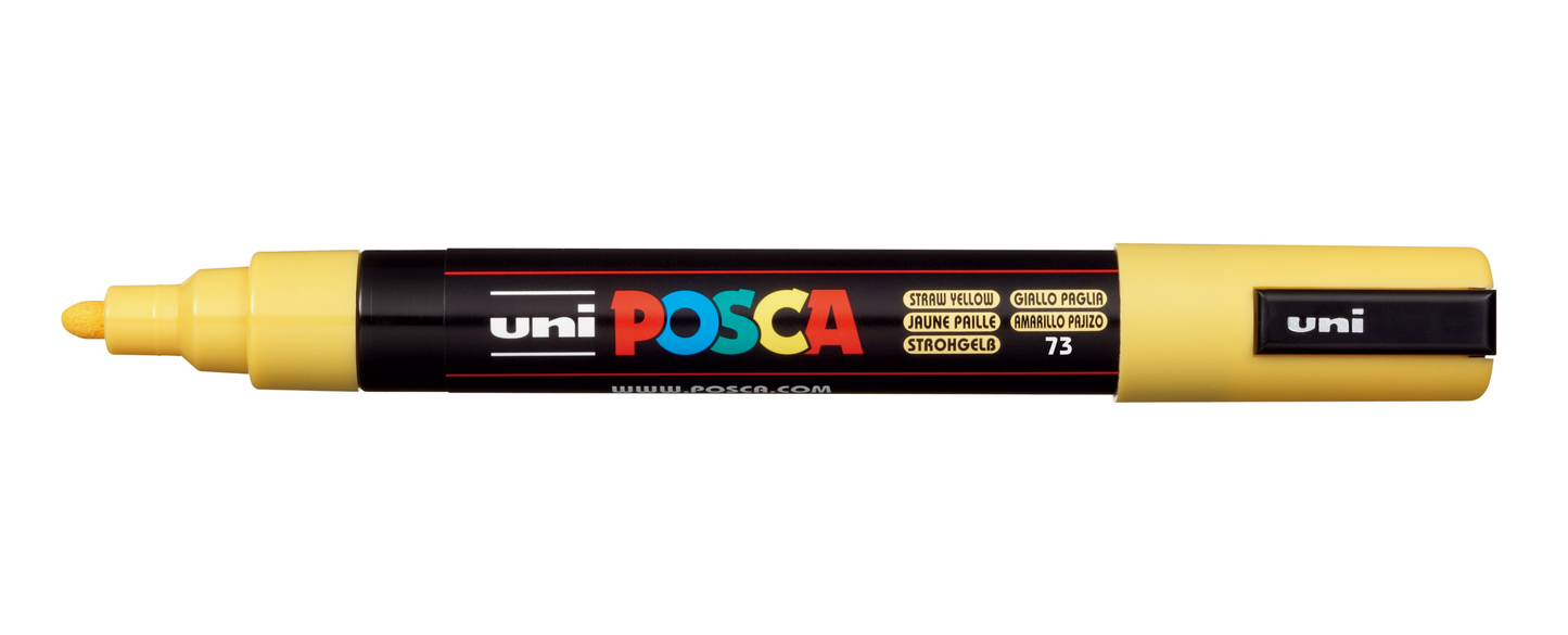 Rotuladores de pintura Posca - PC5M - incluidos metálicos y fluorescentes