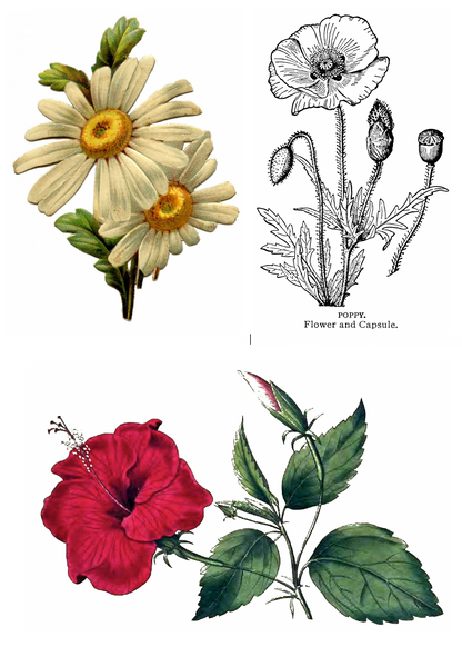 Sulky Fabri Solvy - Pre-printed Images to stitch then dissolve.